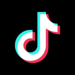 TikTok Story Viewer