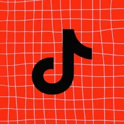 TikTok Video Scraper