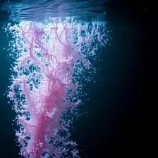 ActorForge