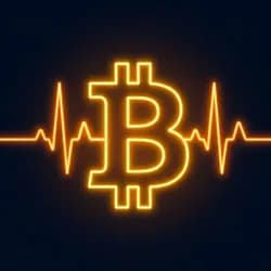 Bitcoin Pulse