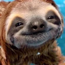 Superslow Sloth
