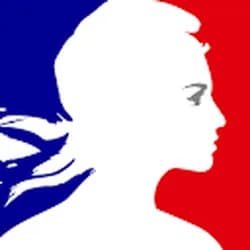 data.gouv.fr Scraper