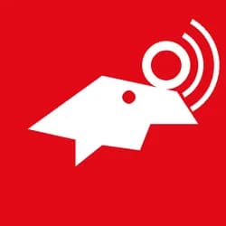Whale Wallet Tracker