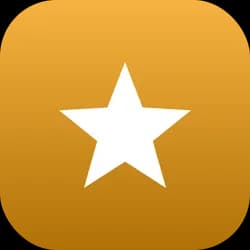 Google Reviews