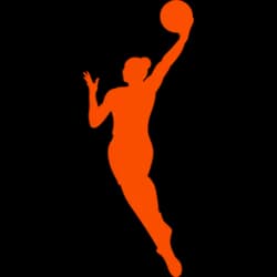 WNBA Stats Scraper