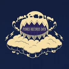PunkRecordsData